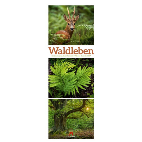 WALDLEBEN TRIPLET-KALENDER 2027 Ansicht 1