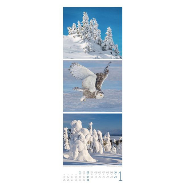WALDLEBEN TRIPLET-KALENDER 2027 Ansicht 2